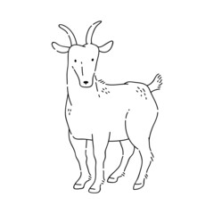 Goat vector doodle animal of Eastern astrological calendar black outline on white background.