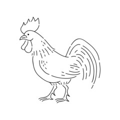 Rooster vector doodle animal of Eastern astrological calendar black outline on white background.