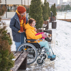 A woman in a wheelchair walks with her friend and a dog by the lake in winter.