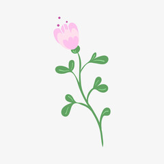 Decorative flower with plant elements isolated on background