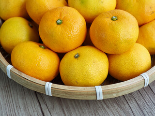 신선한 유기농 과일 귤