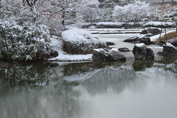 雪の降る日に薄氷の張った公園の池