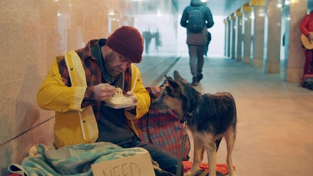 A dog is watching a homeless man eating noodles