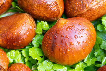 Autumn delicacies, chestnuts, white, white background