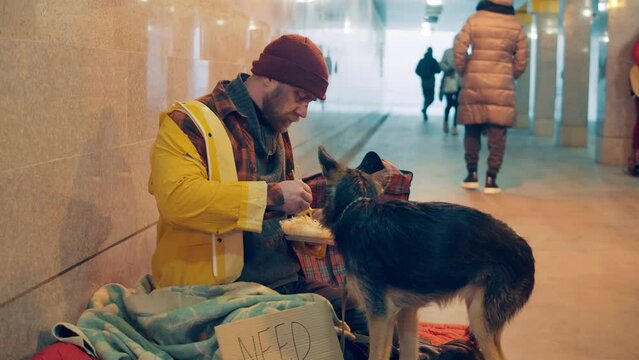 A beggar is treating his dog while eating noodles