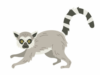 キツネザルのイラスト