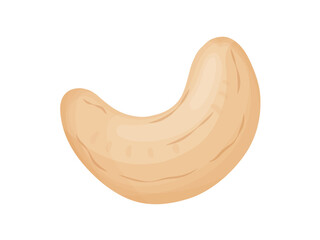 Cashew nuts. Illustration of delicious healthy vegan snack.