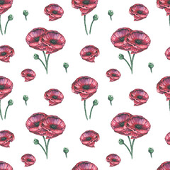 Watercolor poppy flowers seamless pattern on white