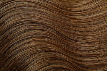 Dark female hair on whole background, close up