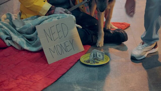 Beggar's dog is smelling a plate with alms in it
