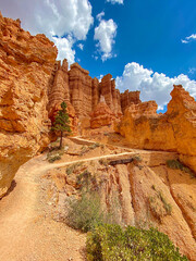 Hiking deep into Bryce Canyon and looking up adds wonderment to the natural beauty surrounding this traveler