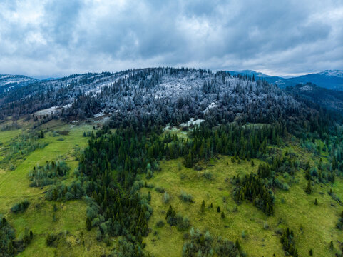 Amazing landscape green hill with pine trees with covered by snow top