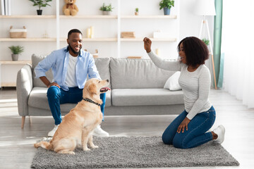 Happy black woman giving treat to her labrador