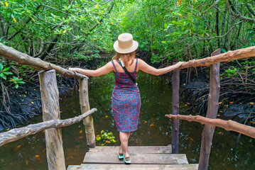 Woman in a hat on a wooden stairs in the mangrove forest, Zanzibar, Tanzania