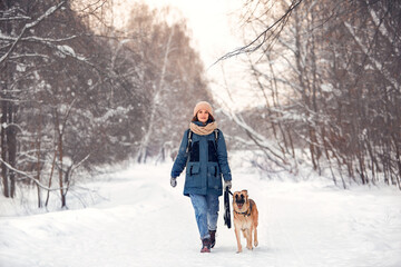 Fototapeta na wymiar The dog walks in the winter in nature with its owner. They train and play. 