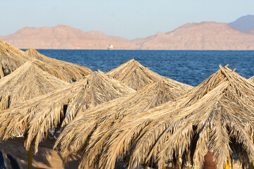 Umbrellas from the sun on the shores of the Red Sea, in Sharm El Sheikh. Tropical resort in summer.