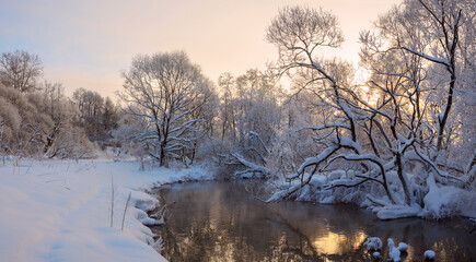 Obraz na płótnie Canvas Winter frosty landscape with snow covered trees