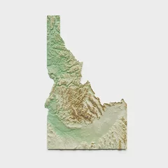 Foto op Plexiglas Idaho Topographic Relief Map  - 3D Render © EmLion