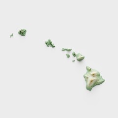 Hawaii Topographic Relief Map  - 3D Render