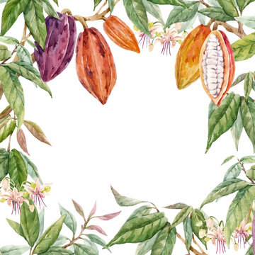 Beautiful vector tropical frame with hand drawn watercolor cocoa fruits and leaves. Stock illustration.