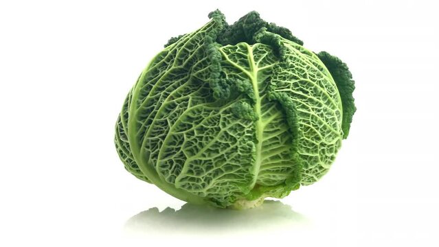 savoy cabbage isolated on white background