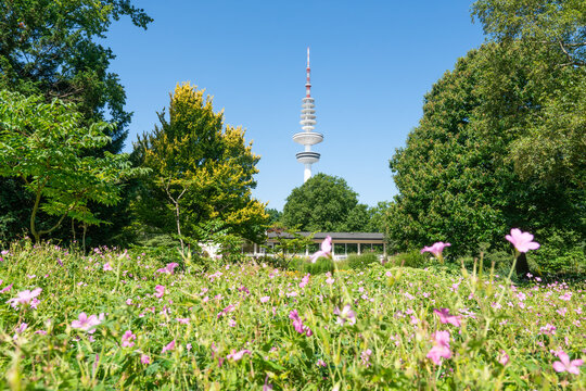 Planten un Blomen park in spring, Hamburg, Germany