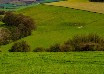 Obraz premium Feeding Station