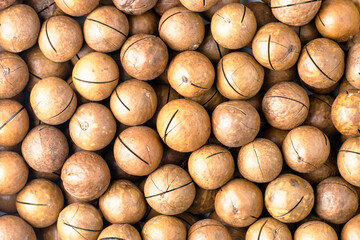 macadamia nuts with saws for splitting background backdrop