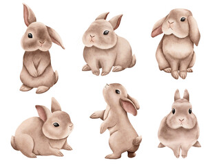 Set of cute little bunnies on an isolated white background.