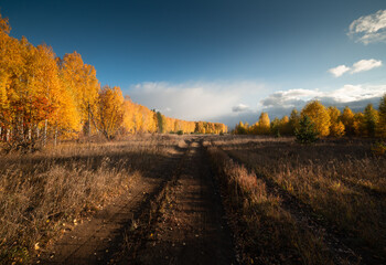 Naklejka premium Nature and landscapes of the South Urals, Russia