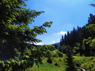 Fototapety na wymiar - Fototapeta24.pl