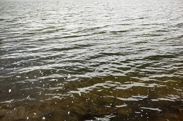 Ripple on the water surface. Ocean or sea water background under the sun rays