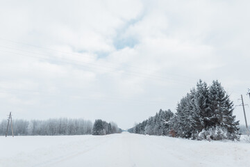 Amazing snowy winter landscape with forest and trees with snow.