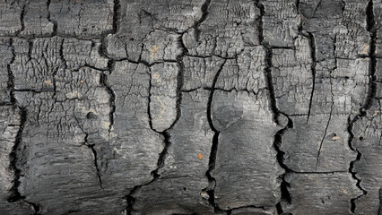 black burnt wood texture, black charcoal backdrop