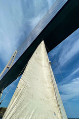 Obraz premium View of the high cablestayed bridge from below
