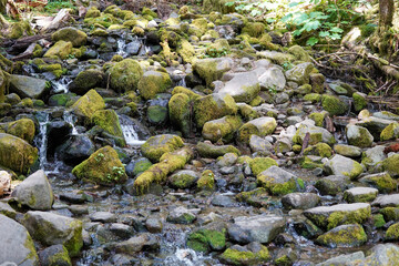 Un ruisseau descendant la montagne et ses pierres rocheuses