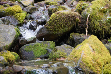 Un ruisseau d'eau coule sur les rochers des montagnes