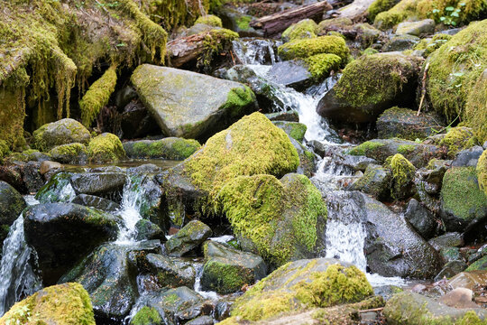 Gros plan sur un ruisseau dans les rochers