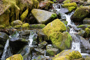 L'eau qui descend les montagnes