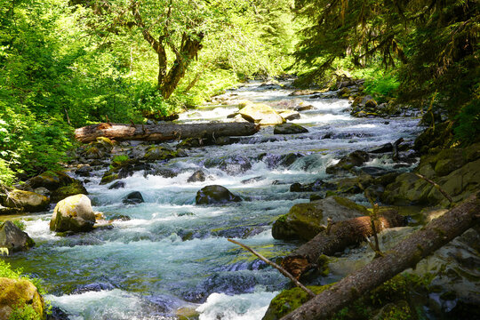 Un cours d'eau descend la montagne