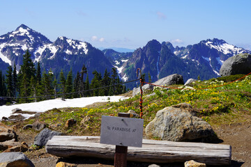 Une vue sur les montagnes en été