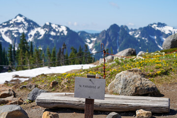 Un voyage vers le paradis