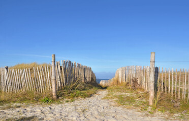 Fototapeta na wymiar footpath in the dunes bordered by a wooden fence by the sea in finistere in Brittany