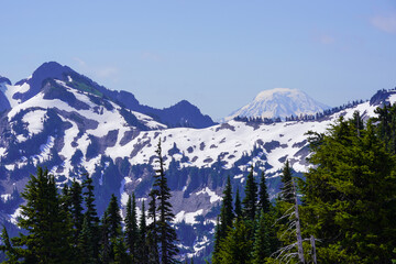 Une montagne enneigée derrière des sapins