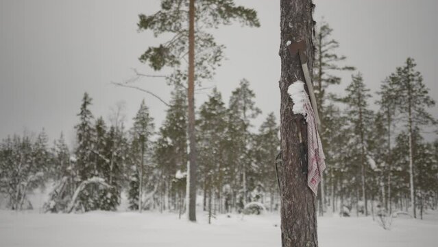 Baum mit Axt im Schnee 1