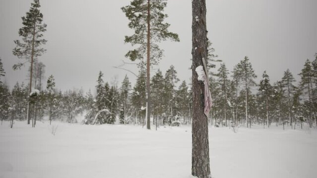 Baum mit Axt im Schnee 2