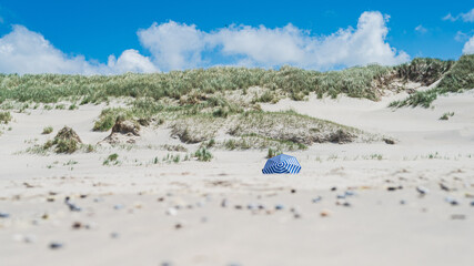 Fototapeta na wymiar Der lange Sandstrand auf Texel, Niederlande