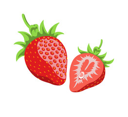 Strawberry. Vector graphics. Drawing on a white background.
