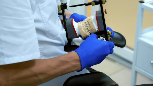 Orthodontist is working with jaw mold in dental facebow process of prosthetics. Orthodontic treatment in dentistry, prosthetics. Bite and joint, occlusion correction before installing veneers crowns.
