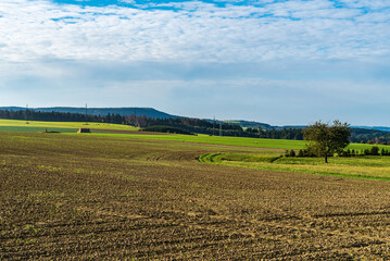 Autumn countryside with fielf, meadow with feeding cows, isolated tree and smaller forest covered...